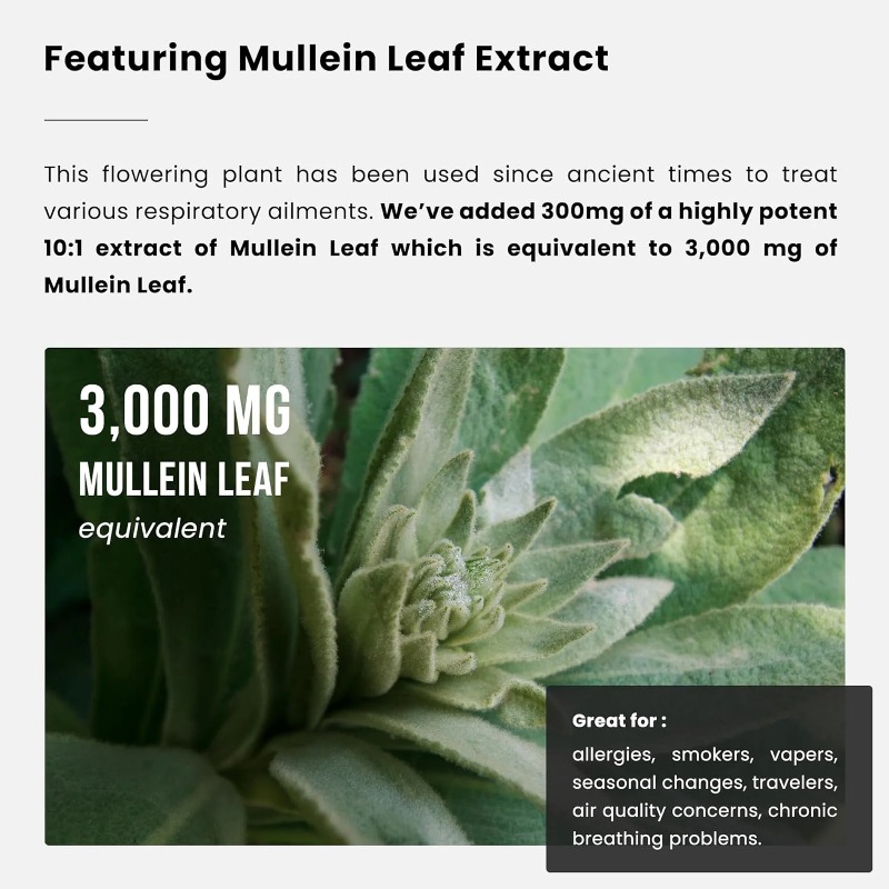 Extracto de Hoja de Verbasco - - Herbal Supplement reseña y precio